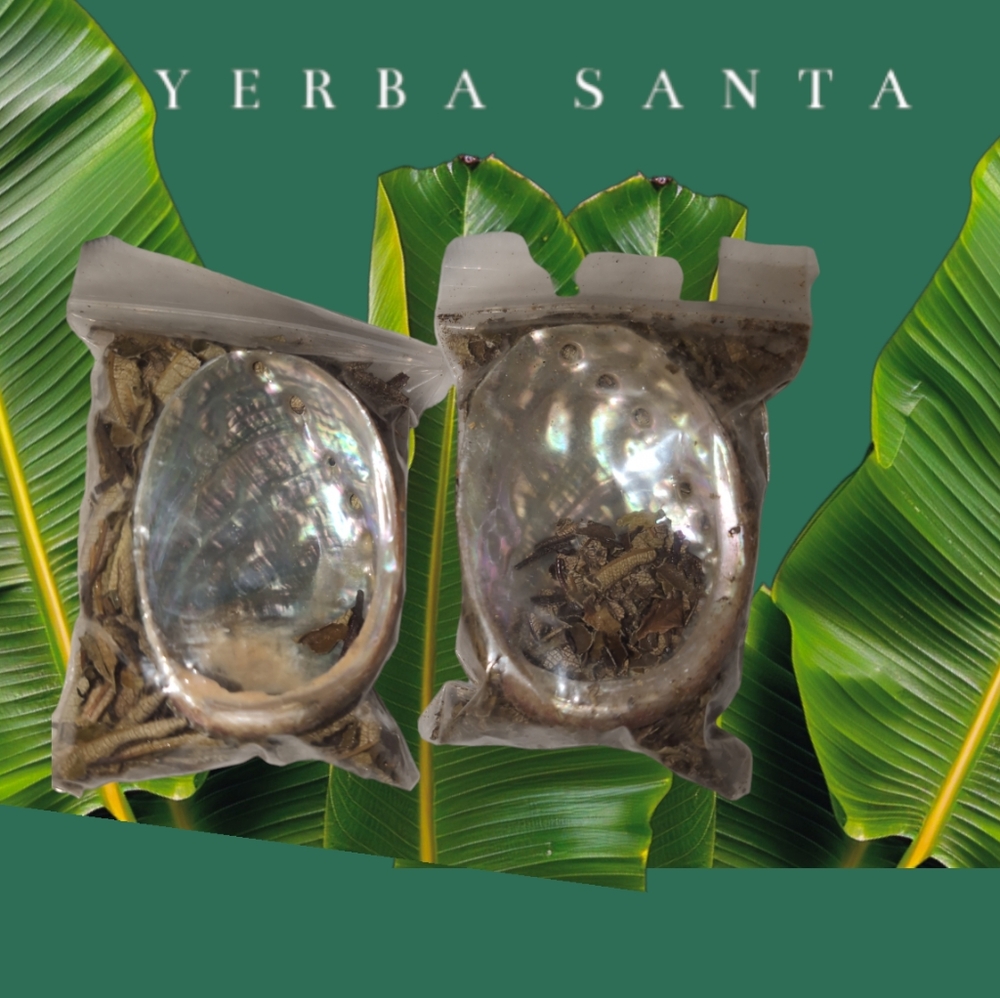❤️ Yerba Santa (Holy Herb) Smudge with Shell NEW Set of 2
